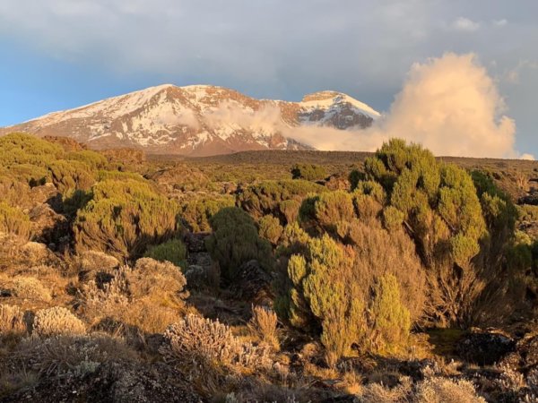 Ein Blick auf die Natur rund um den Kilimandscharo