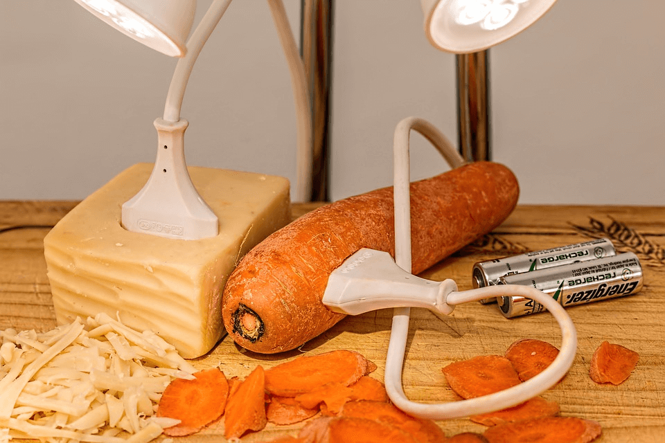 Ein Experiment-Aufbau mit einem Stück Käse, einer Möhre und Batterien